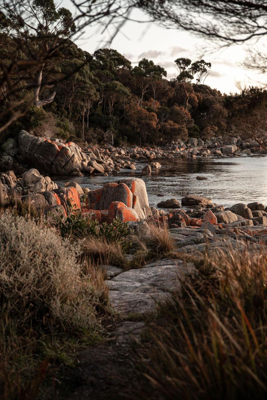 Driftwood Rest Binalong Bay Sleeps 4 Vila Exterior foto